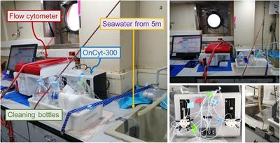 Automated flow cytometry as a tool to obtain a fine-grain picture of marine prokaryote community structure along an entire oceanographic cruise